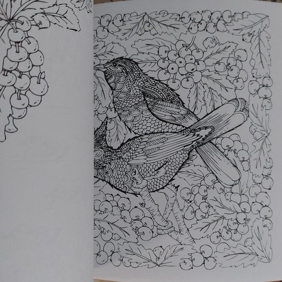 The Magic Path By Colorama VERY SPECIAL COLORING KEEPSAKE - Picture 2 of 6